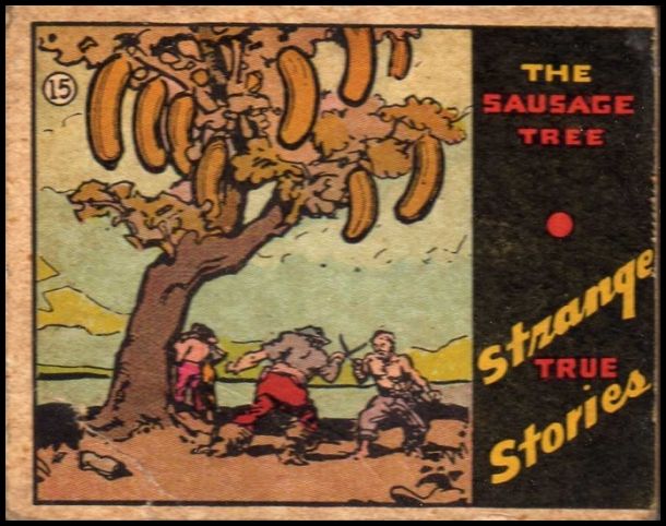 15 The Sausage Tree